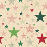 Plastic-Free Roll Wrap Assortment Xmas Dreams of Nature 1.5mx70cm 25 rolls (UK RW)