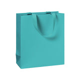 Plain Colour Small Gift Bags 18x8x21cm (6 bags)