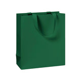 Plain Colour Small Gift Bags 18x8x21cm (6 bags)