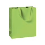 Plain Colour Small Gift Bags 18x8x21cm (6 bags)