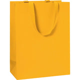 Plain Colour Large Gift Bags 23x13x30cm (6 bags)
