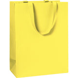 Plain Colour Large Gift Bags 23x13x30cm (6 bags)