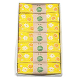 Blumenfeld Cotton Ribbon Hanks (GOG) 25mm x 2m