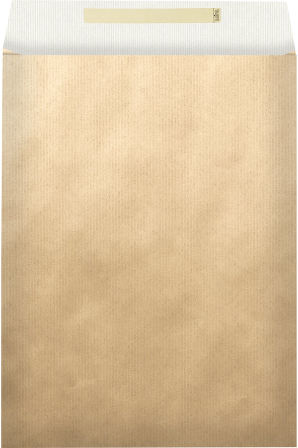 Envelope Gift Bags 32x6x43+6cm Uni Gold