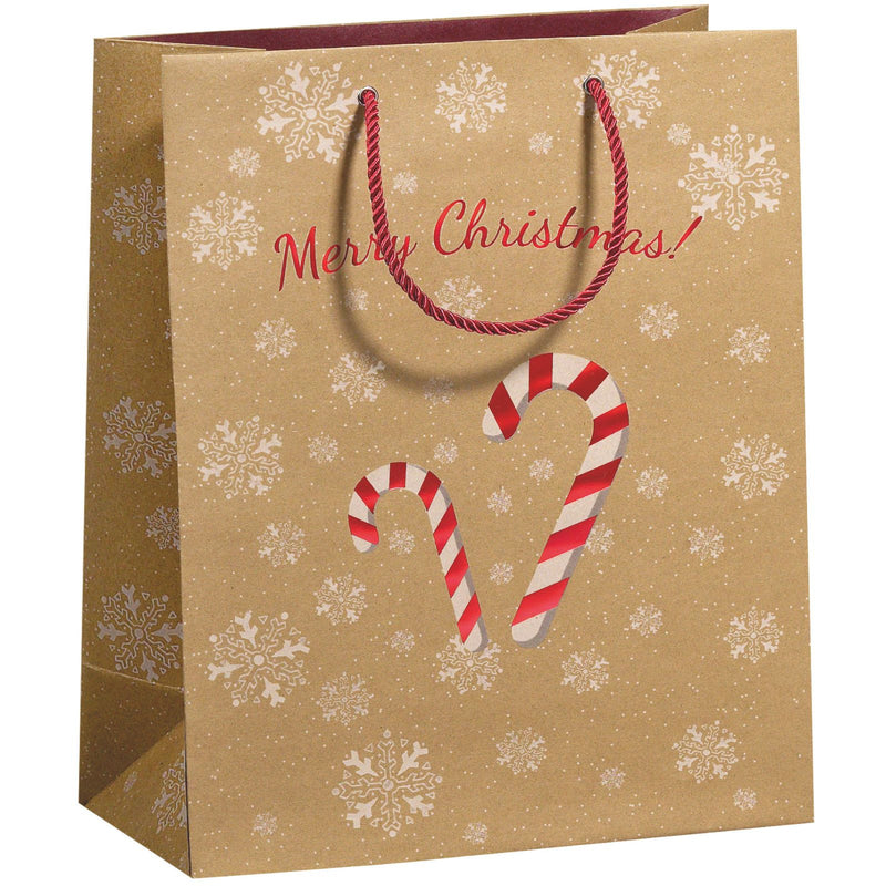 Gift Bags 17x9x22.5cm Candy Canes 10 bags