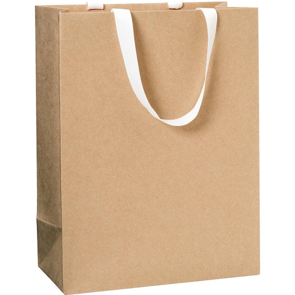 Plain Colour Large Gift Bags 23x13x30cm