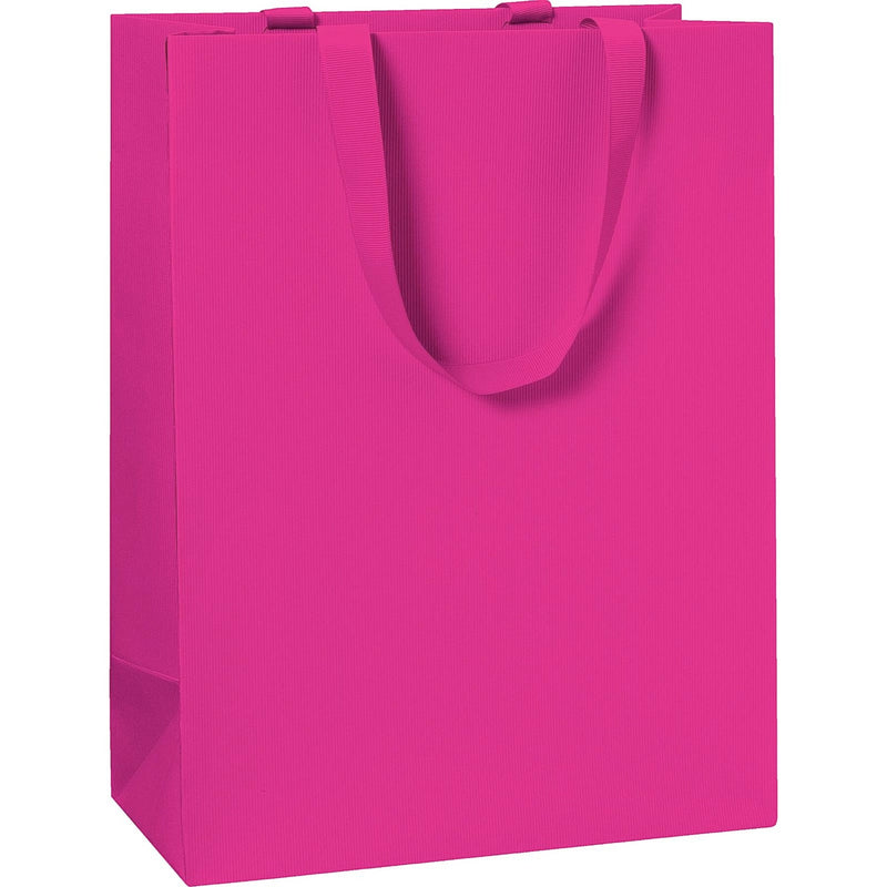 Plain Colour Large Gift Bags 23x13x30cm (6 bags)