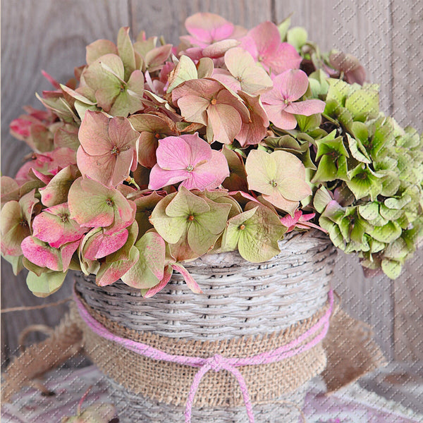 Napkins 33x33cm Erla